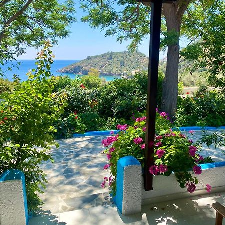Studios Ioanna Limnionas Samos Marathokampos Exterior photo