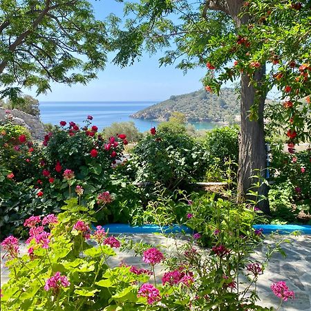 Studios Ioanna Limnionas Samos Marathokampos Exterior photo