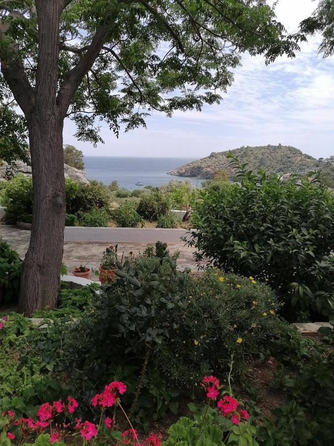 Studios Ioanna Limnionas Samos Marathokampos Exterior photo