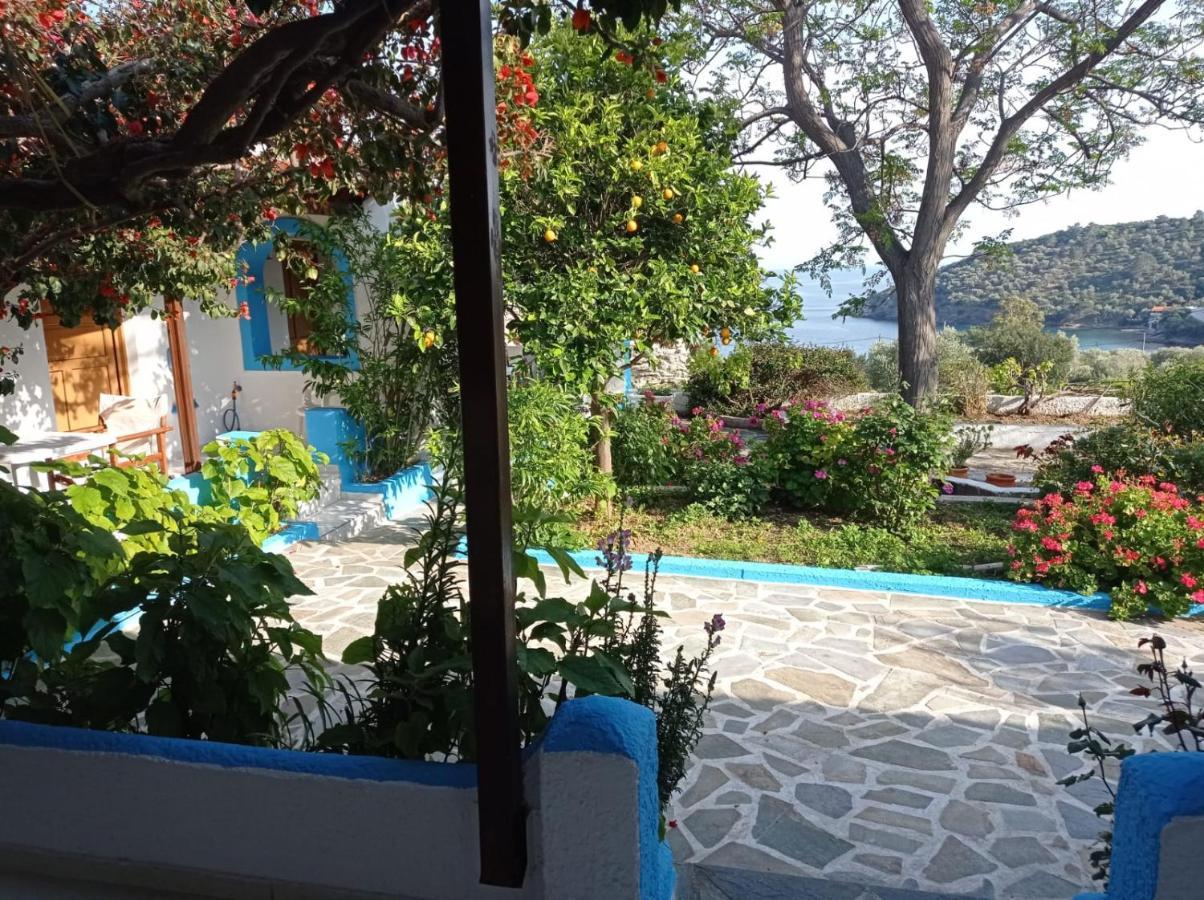 Studios Ioanna Limnionas Samos Marathokampos Exterior photo
