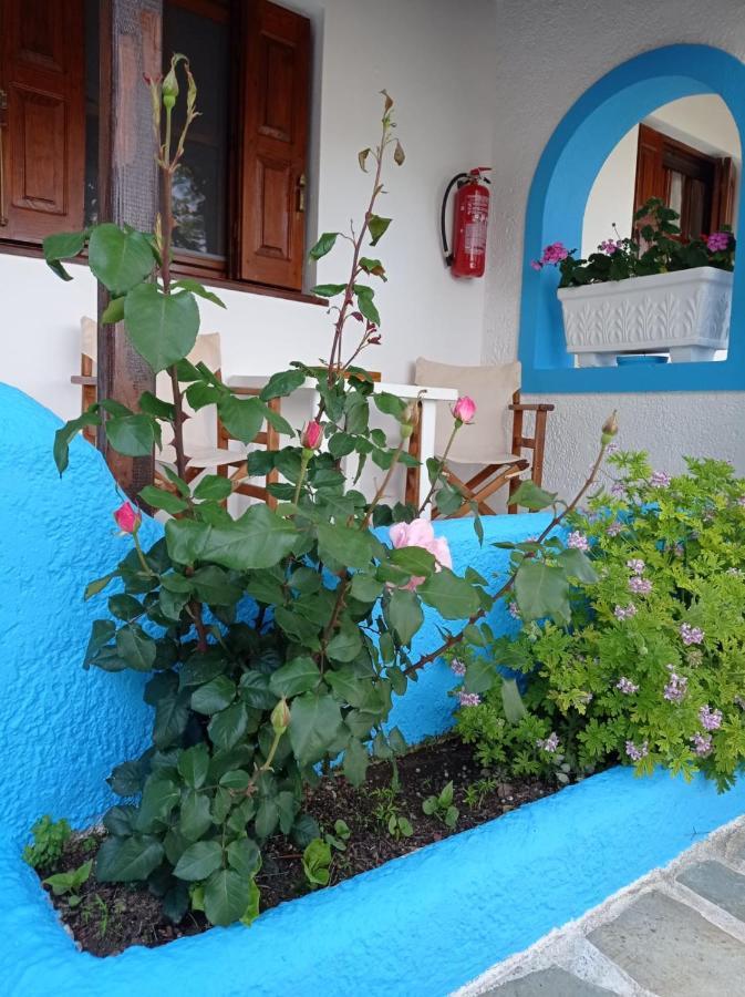Studios Ioanna Limnionas Samos Marathokampos Exterior photo