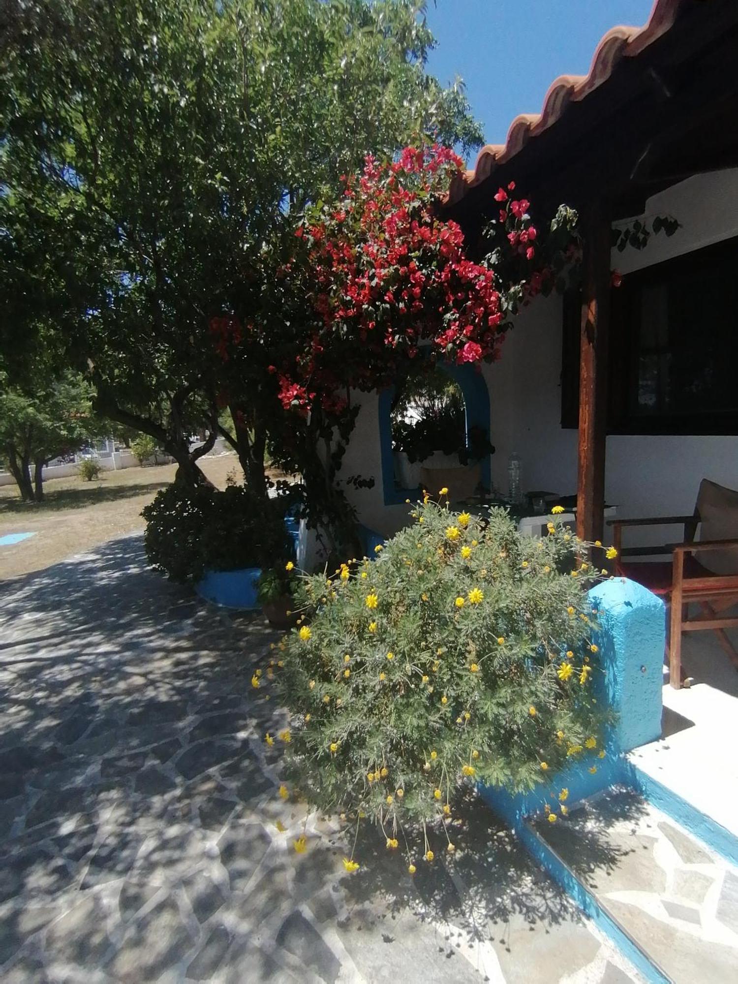 Studios Ioanna Limnionas Samos Marathokampos Exterior photo
