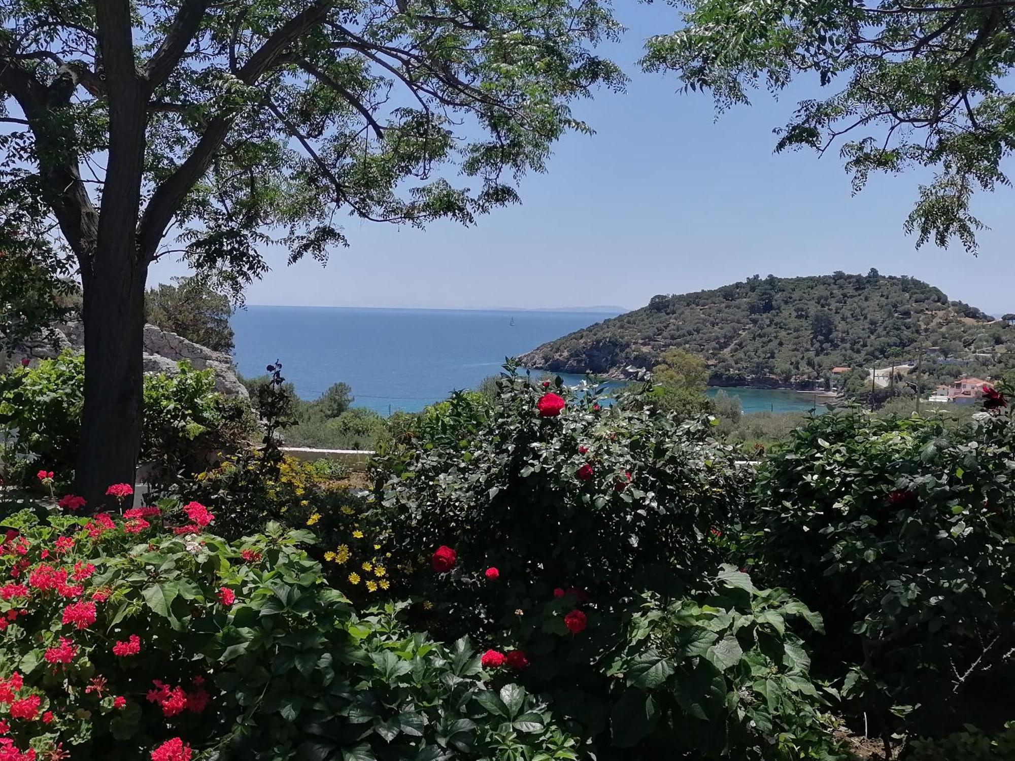 Studios Ioanna Limnionas Samos Marathokampos Exterior photo