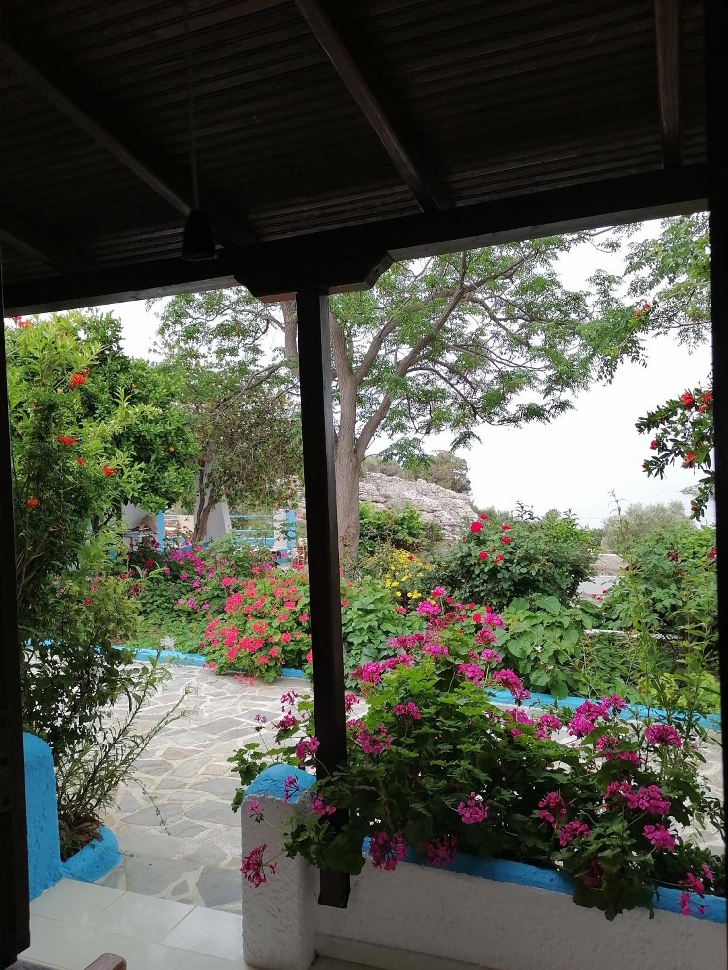 Studios Ioanna Limnionas Samos Marathokampos Exterior photo