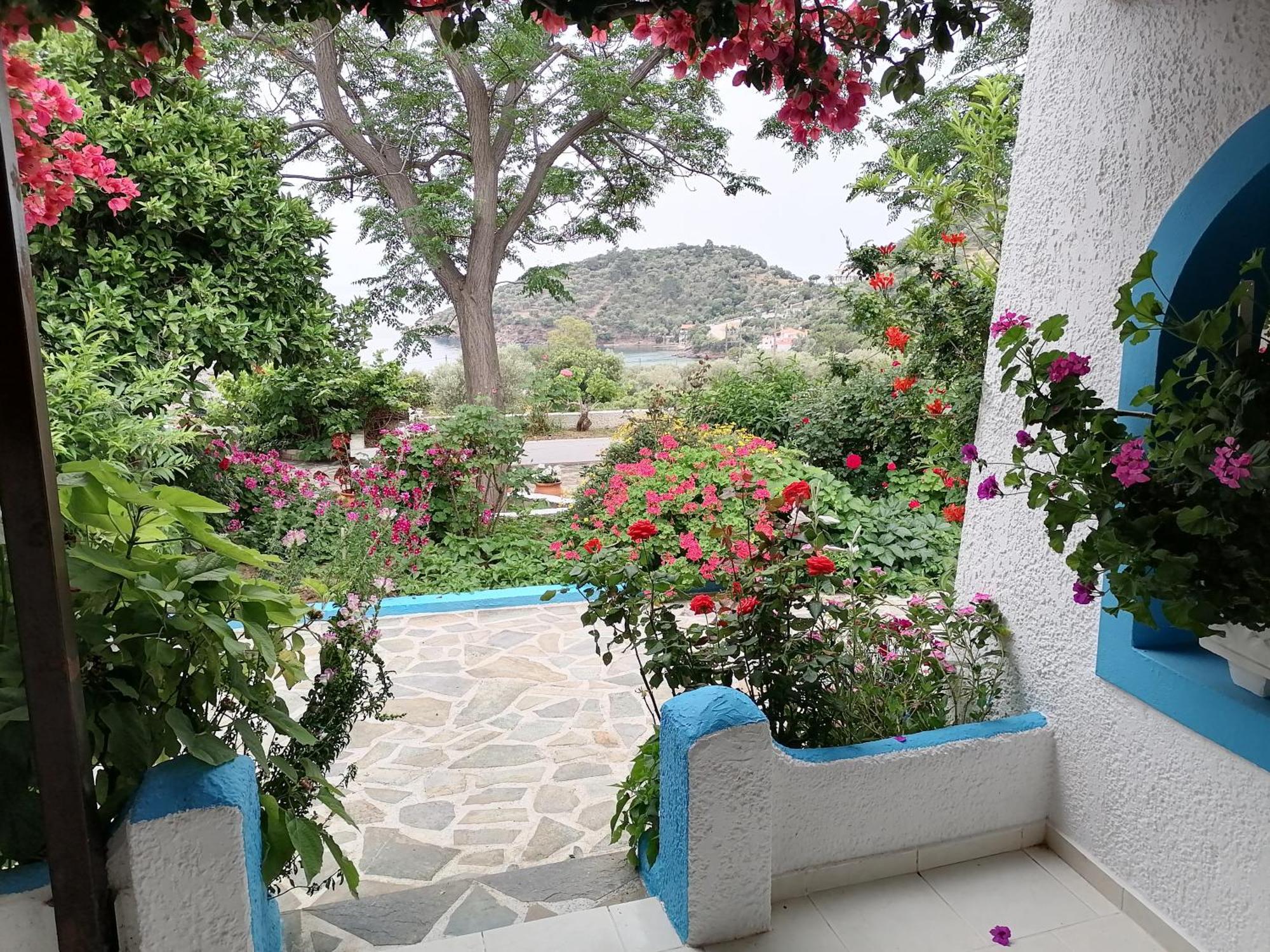 Studios Ioanna Limnionas Samos Marathokampos Exterior photo